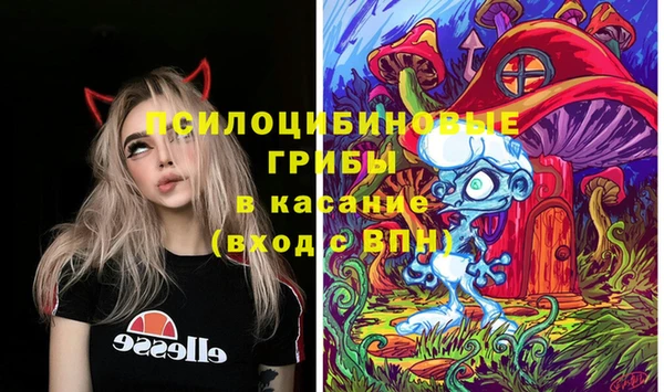 амф Аркадак