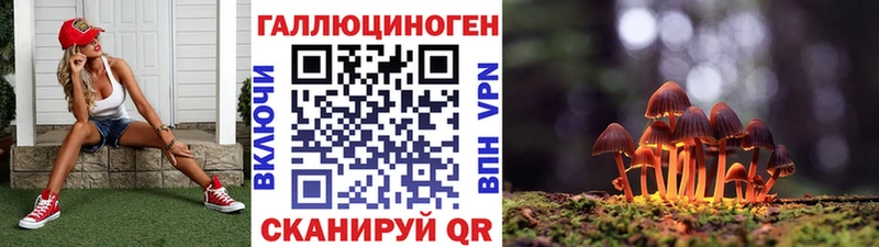 закладки Тайга Галлюциногенные грибы Cubensis